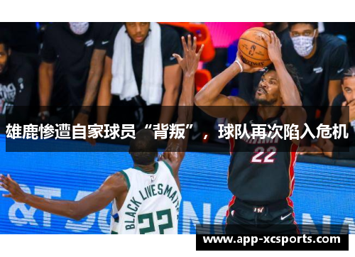 雄鹿惨遭自家球员“背叛”，球队再次陷入危机